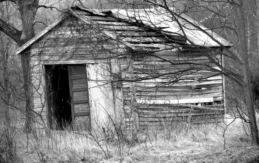 Little Shed Photograph By Irvin Timbrook - Fine Art America