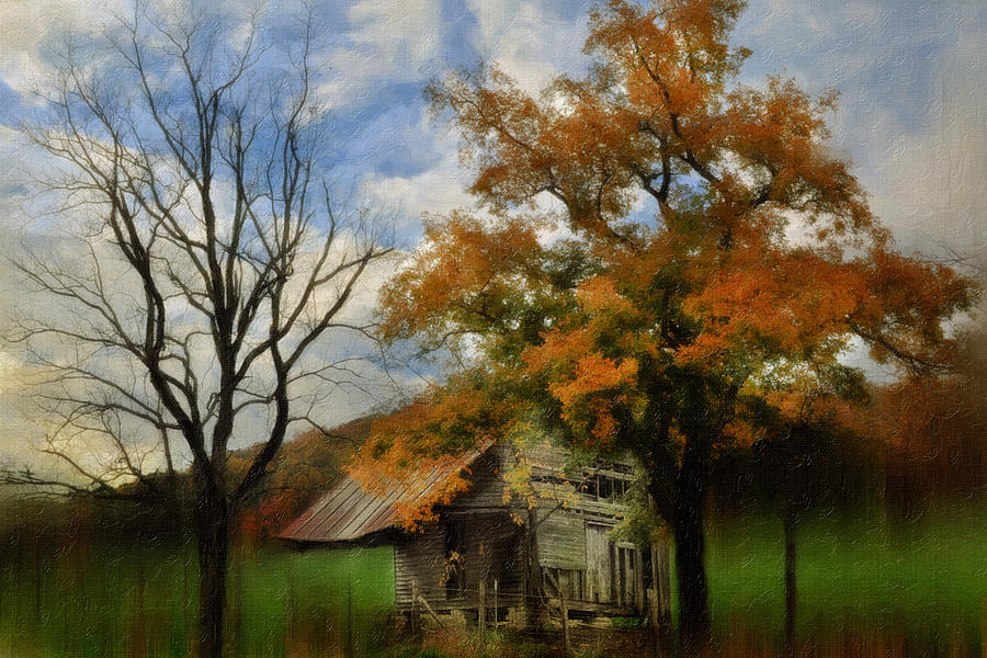 Fall Photograph - Little Shed by Kathy Jennings
