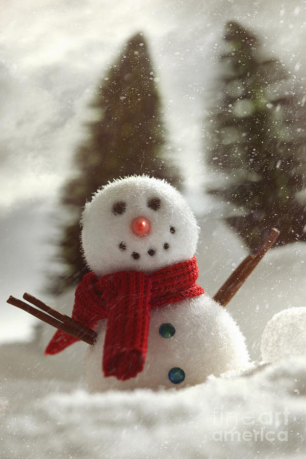 Little snowman with wintery snow background Photograph by Sandra Cunningham