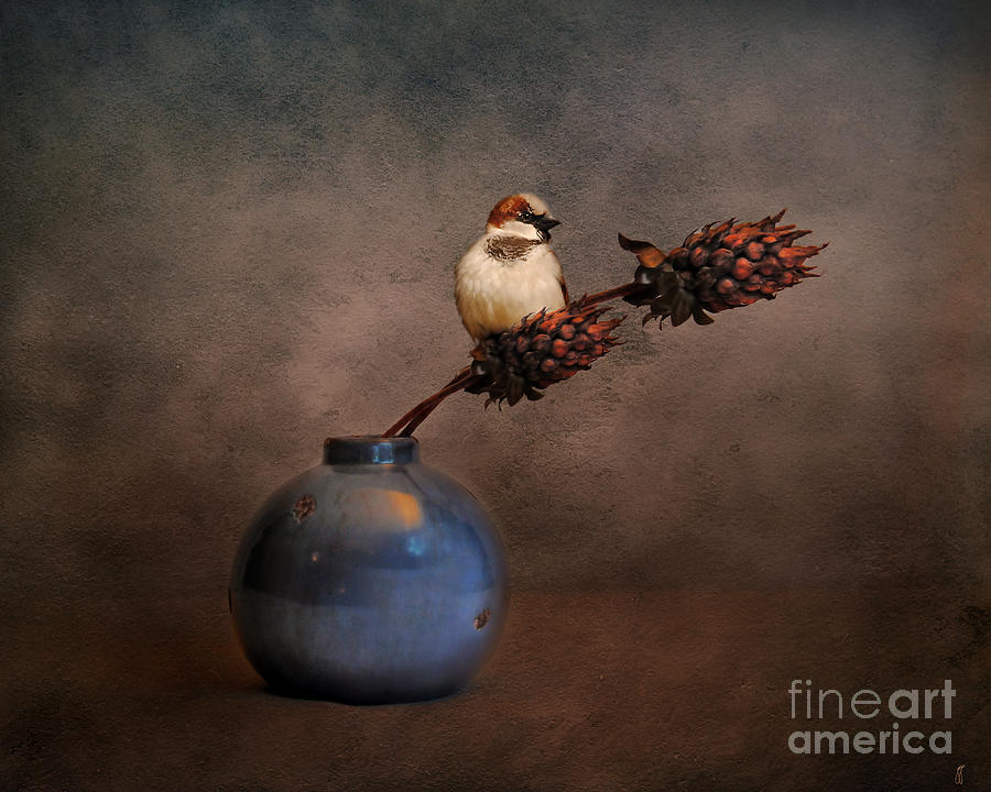 Little Sparrow Friend Photograph by Jai Johnson