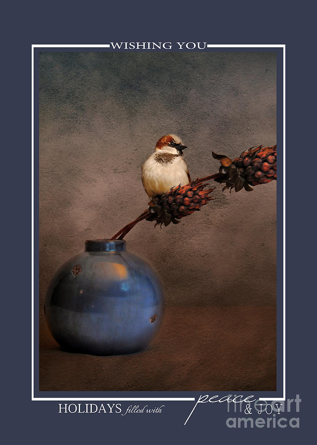 Little Sparrow Song Bird Wildlife Christmas Cards Photograph by Jai Johnson