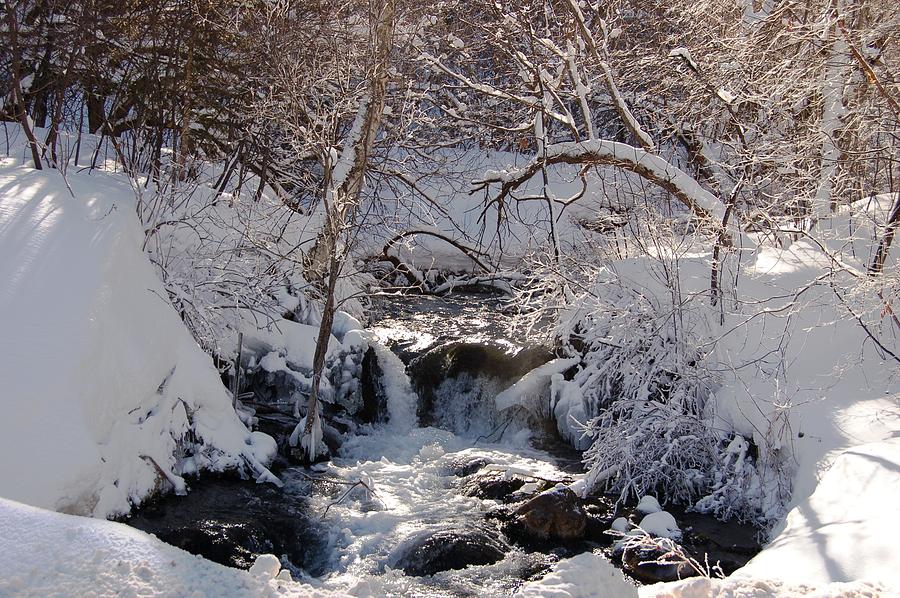 Little Spearfish Creek in Snow Photograph by Greni Graph