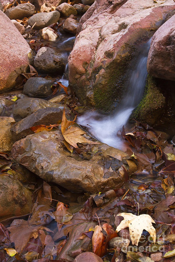 Nature Photograph - Little stream by Bryan Keil