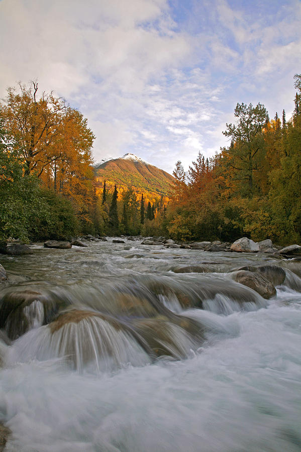 Little Susitna River At The Start Of Photograph by Calvin Hall | Fine ...