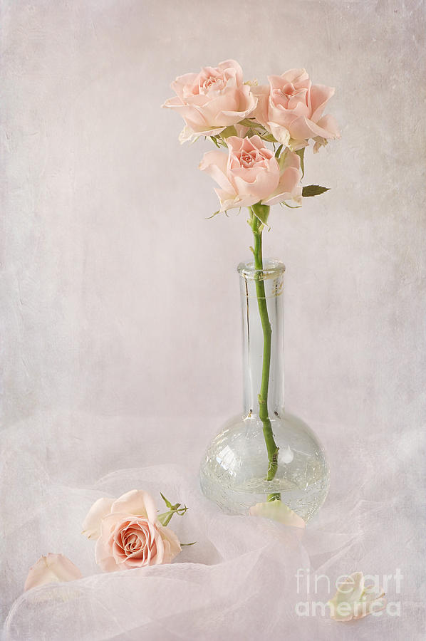 Rose Photograph - Little Sweethearts by Jacky Parker