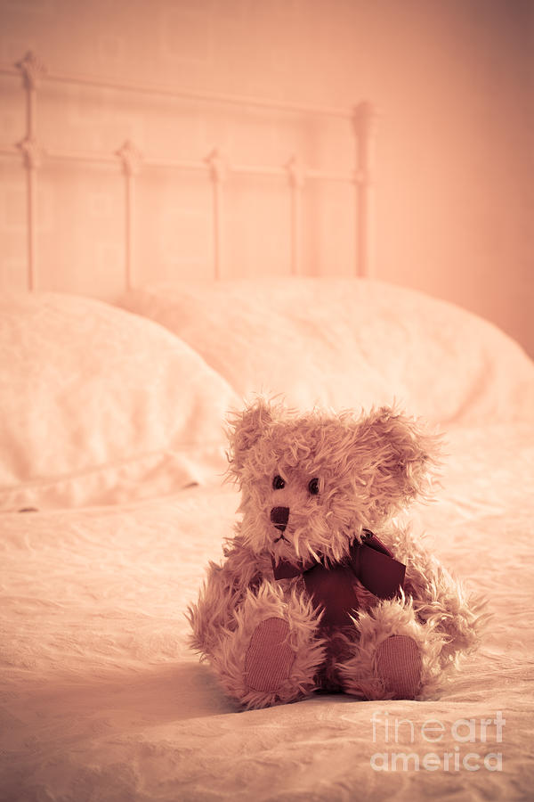 Vintage Photograph - Little Teddy Bear by Amanda Elwell