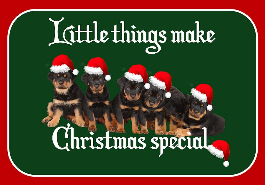 Christmas Photograph - Little Things Make Christmas Special Rottweiler Greetings  by Taiche Acrylic Art
