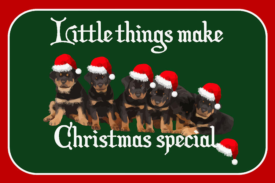 Christmas Photograph - Little Things Make Christmas Special Vector  by Taiche Acrylic Art