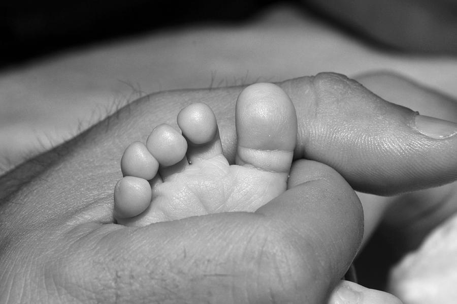 Tiny Infant Toes in Fathers Big Hand Photograph by Ginger Wakem
