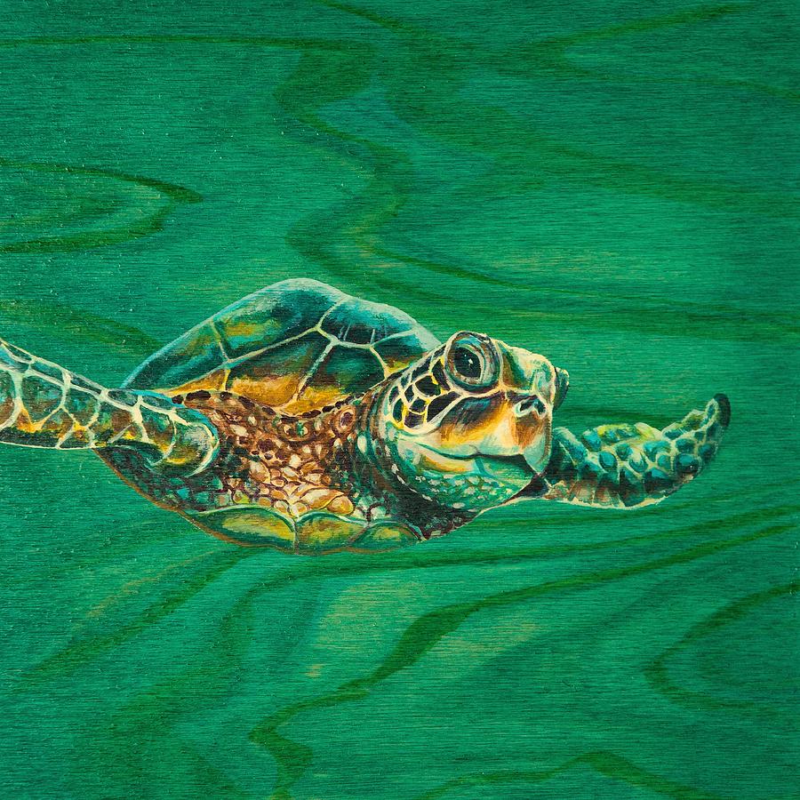 Little Turtle Painting by Emily Brantley - Fine Art America