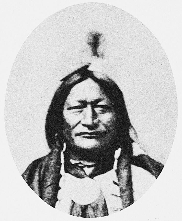 Little Wolf Photograph by Granger Historical Picture Archive Little Wolf Photograph by Granger Historical Picture Archive