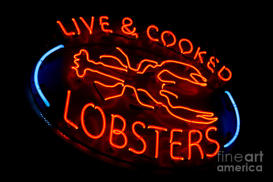 Live and Cooked Lobsters Old Neon Light Store Sign Photograph by Olivier Le Queinec