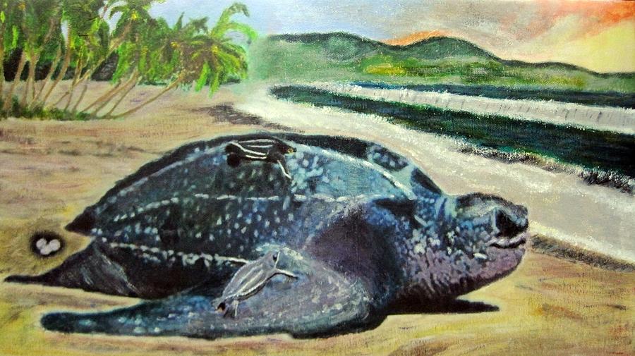 Turtle Painting - Live and let Live by Waheeda Ramnath
