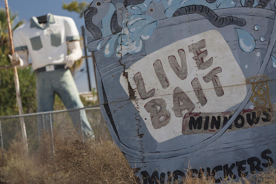 Live bait and The Man Photograph by Scott Campbell