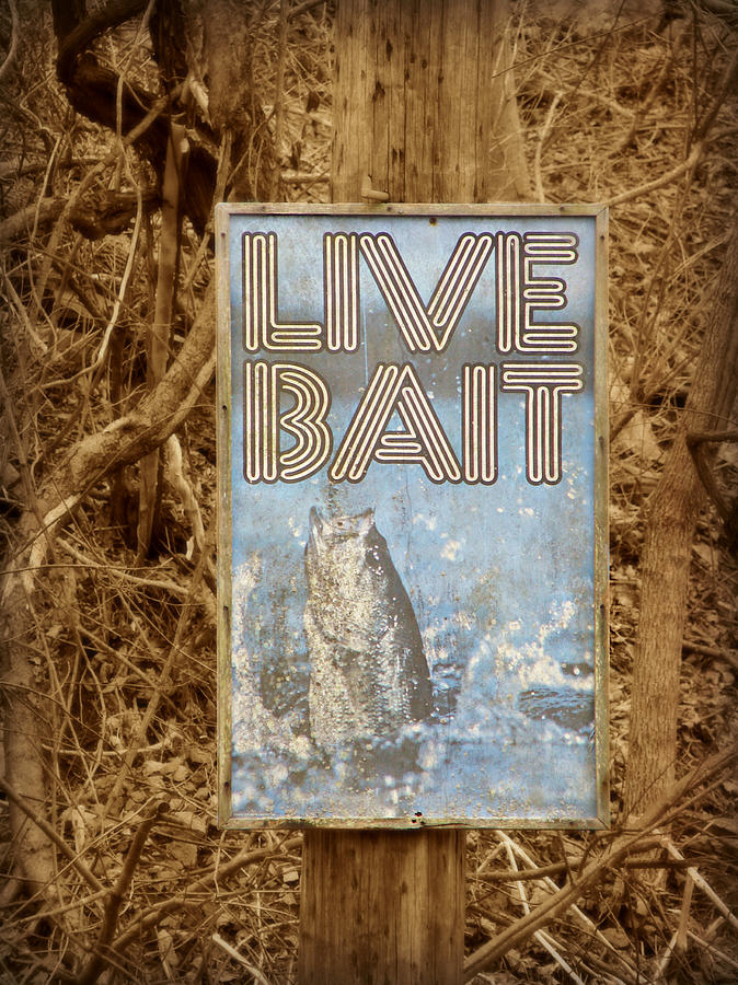 Live Bait Photograph by Dark Whimsy