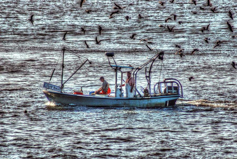 Live Bait fishing with the birds Digital Art by Michael Thomas