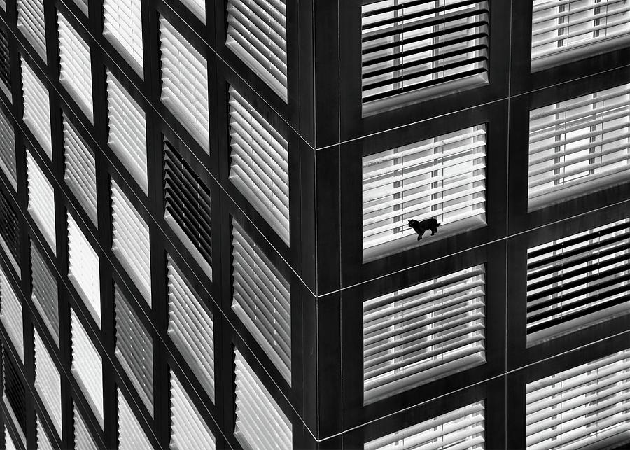 Black And White Photograph - Live Fearlessly by Ayse  Yorgancilar