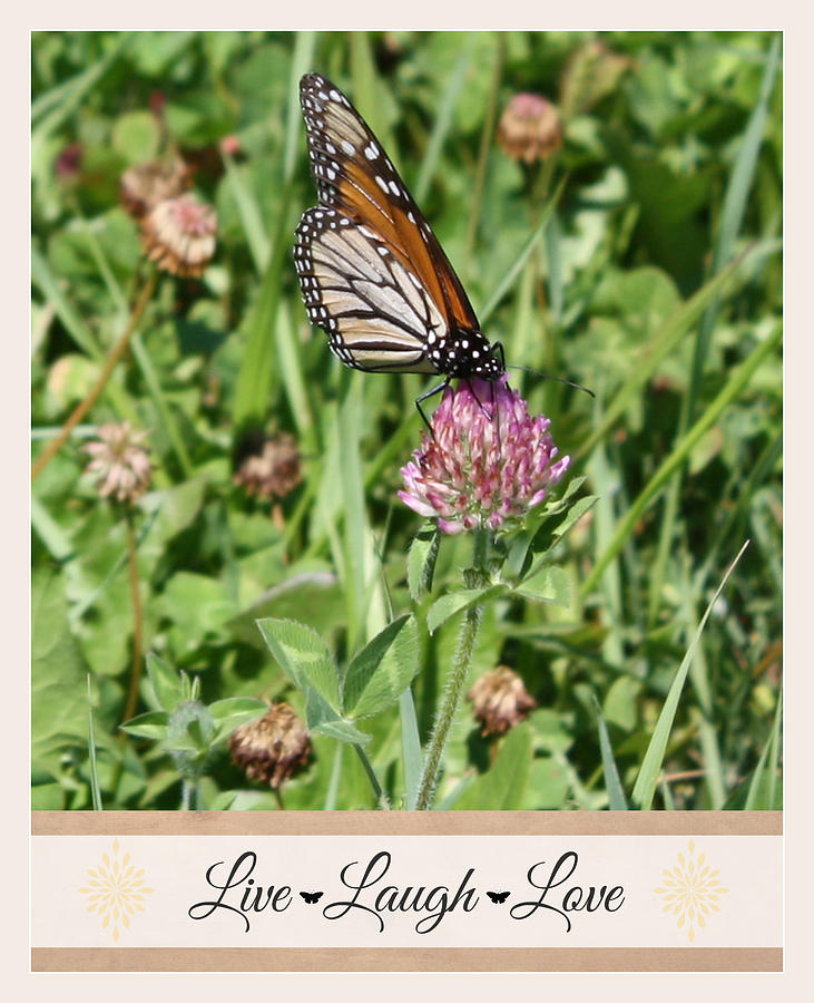 Live Laugh Love Butterfly Photograph by Inspired Arts