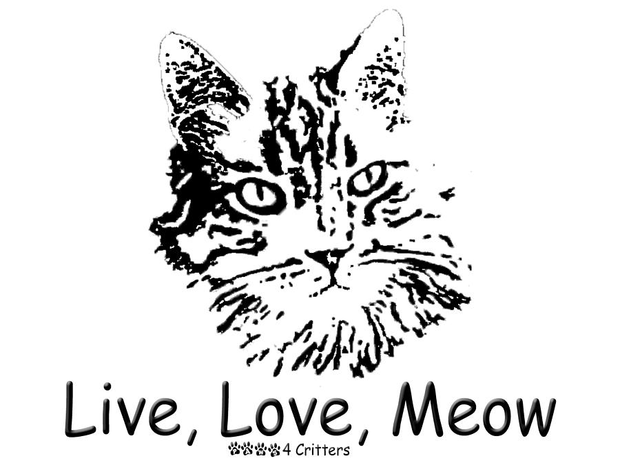 Cat Photograph - Live Love Meow by Robyn Stacey