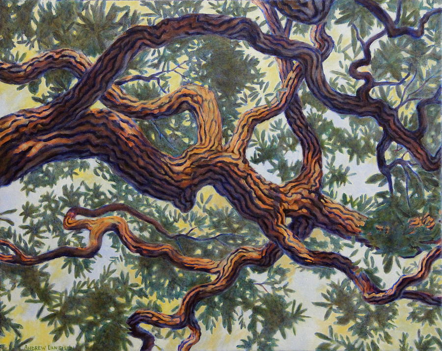 Live Oak Painting by Andrew Danielsen