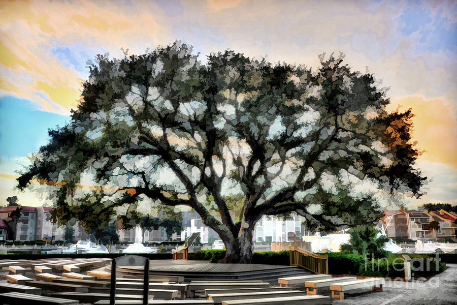 Live Oak Tree Photograph - Live oak artistic trendering by Dan Friend