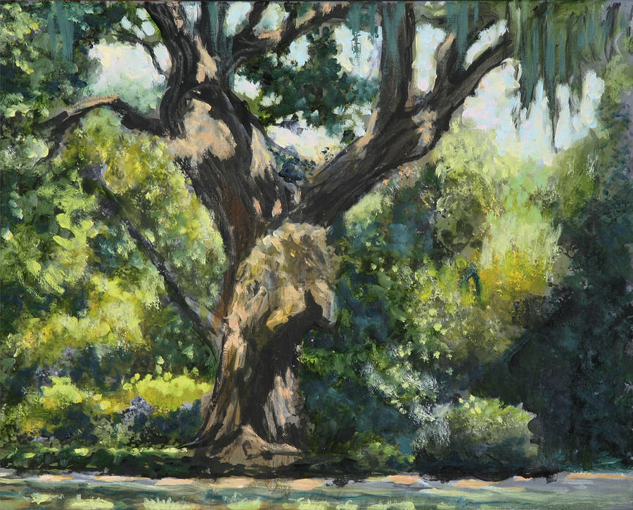 Live Oak Painting by David Zimmerman