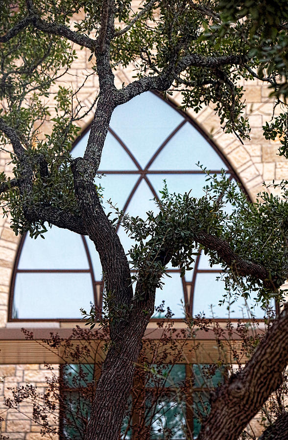 Brick Photograph - Live Oak in Front of Church Window by Linda Phelps