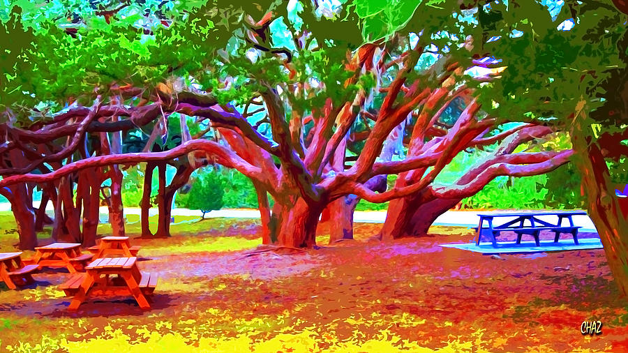 Live Oak Picnic Ground Painting by CHAZ Daugherty