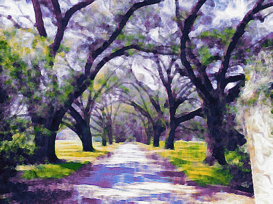 Live oak tree entry Photograph by Patricia Greer