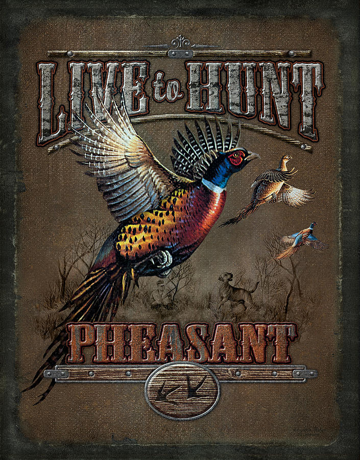 Pheasant Painting - Live To Hunt Pheasants by JQ Licensing