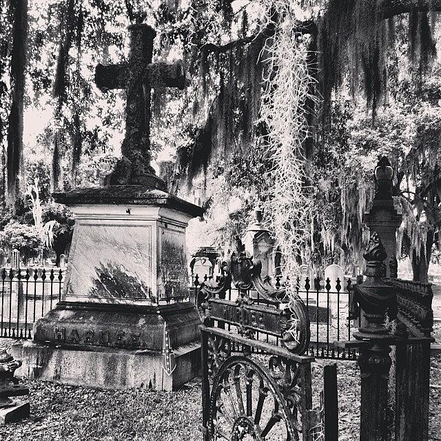 Stone Photograph - #liveoakcemetery #selmaalabama by Shannon Ballard