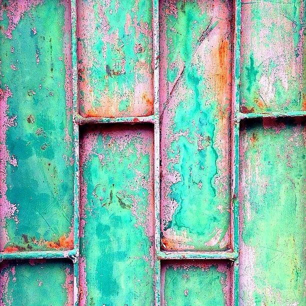 Abstract Photograph - Living Colour by An Urban Nomad