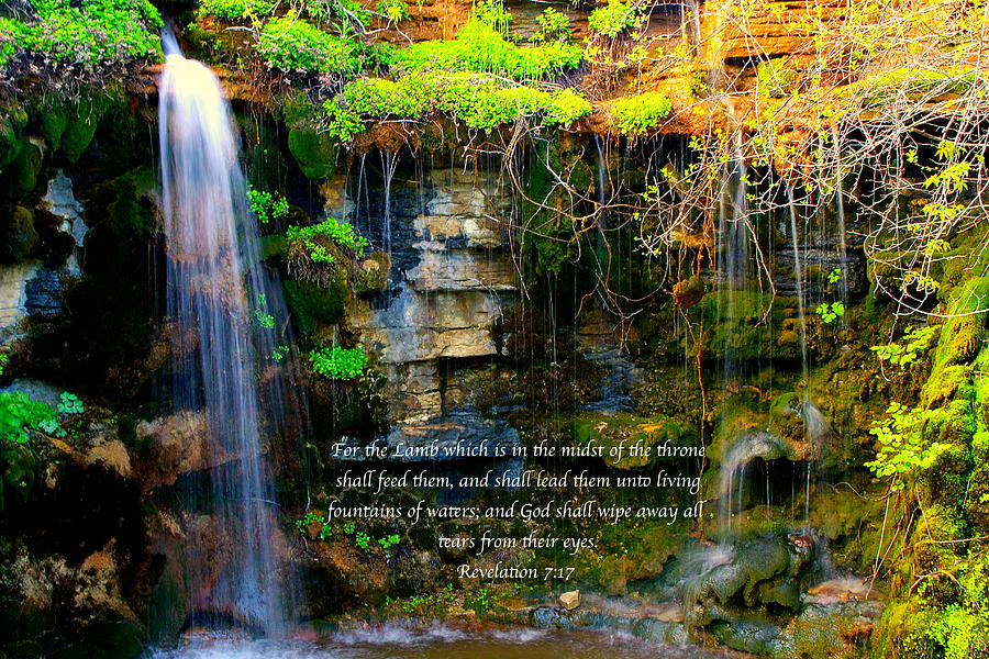 Inspirational Photograph - Living Fountains of Waters by Debbie Nobile
