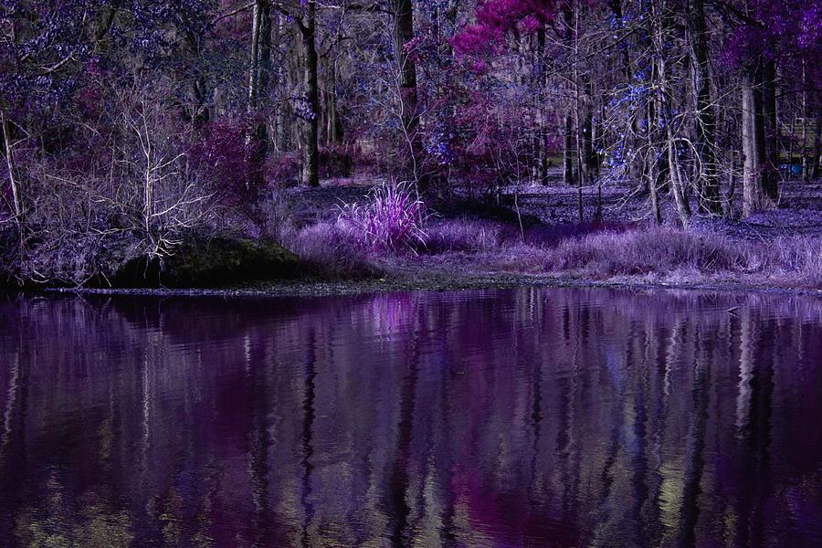 Living in a Purple Dream Digital Art by Linda Unger