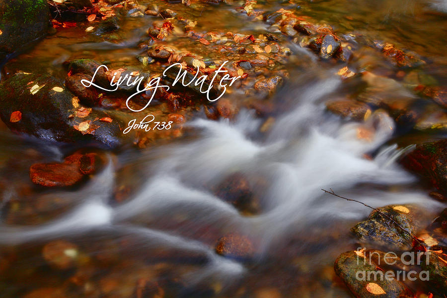 Living Water Photograph by Jill Lang