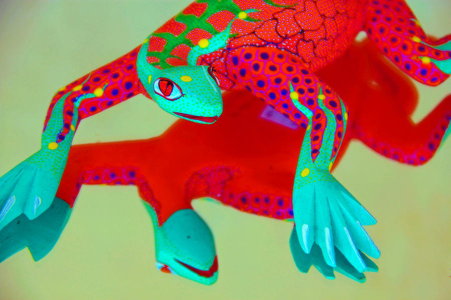 Lizard Photograph by Jim McCullaugh