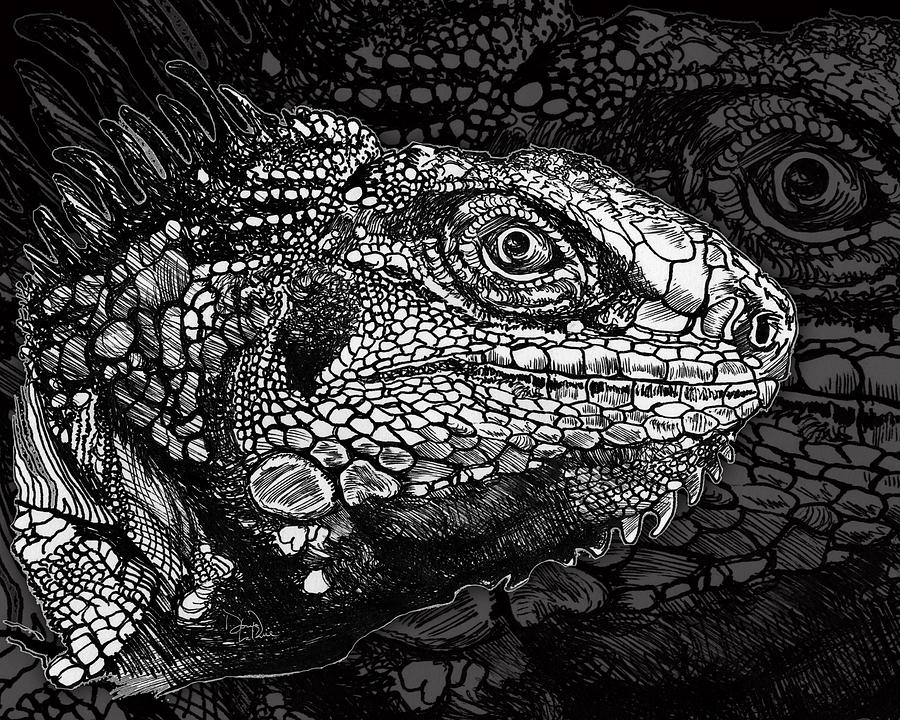 Lizard Profile Drawing by Doug LaRue