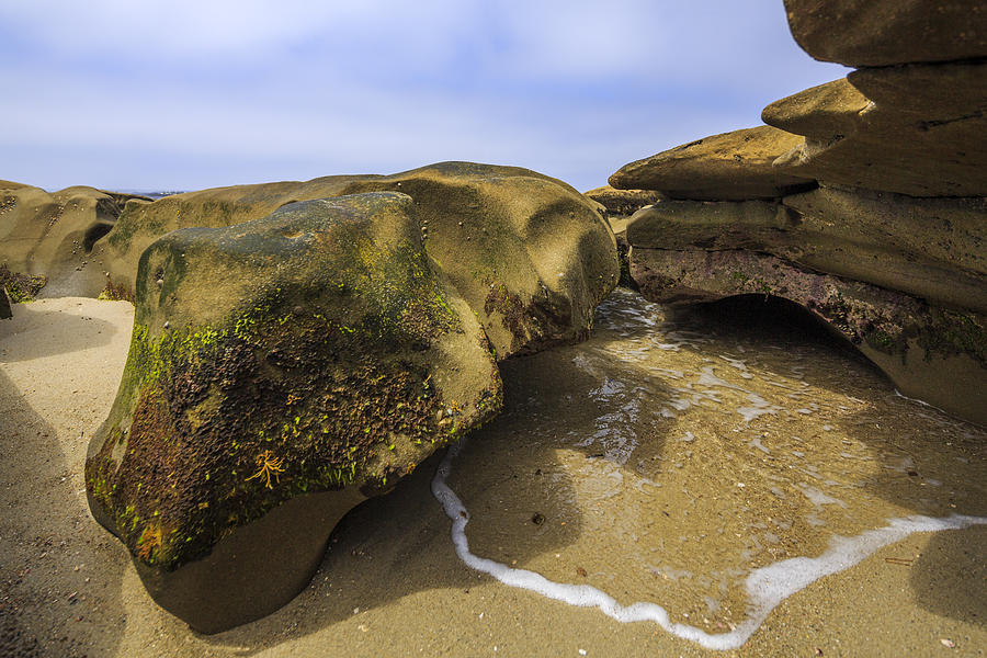 Still Life Photograph - Lizard Rock at rest by Scott Campbell