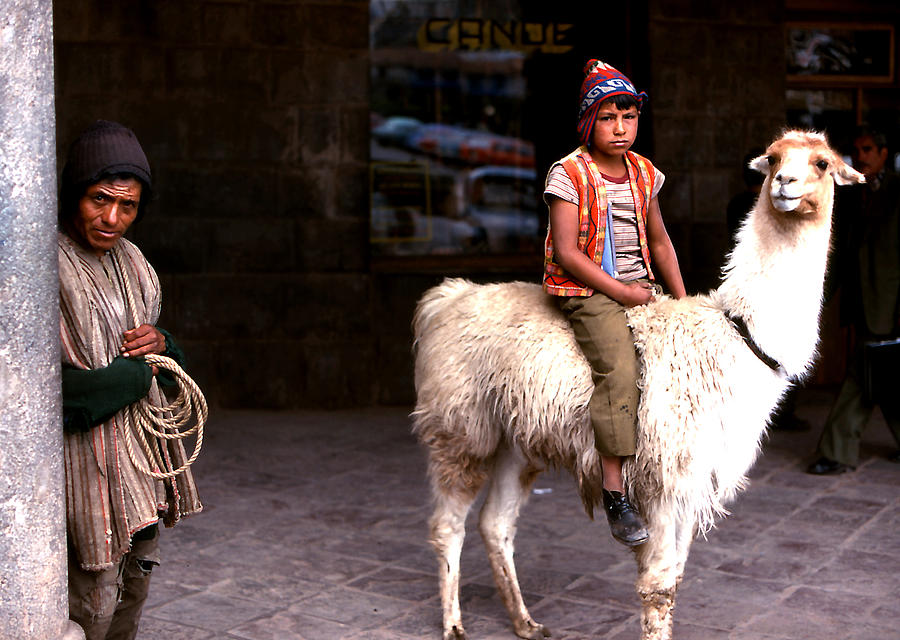 Llama Boy and Herder Photograph by Robert  Rodvik