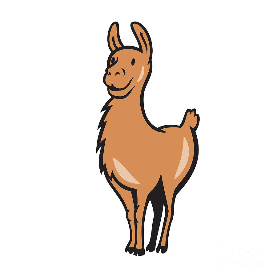 Llama Digital Art - Llama Cartoon by Aloysius Patrimonio