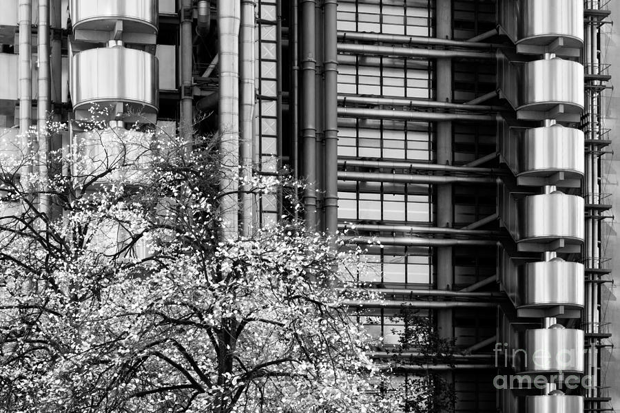 Lloyds Of London 05 Photograph by Rick Piper Photography