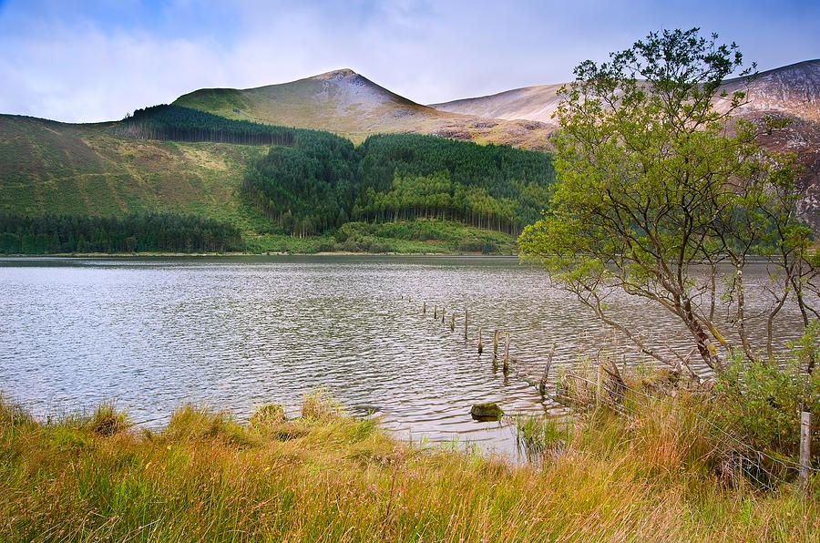 Mountain Photograph - Llyn Cwellyn in Snowdonia National Park towards m by Matthew Gibson