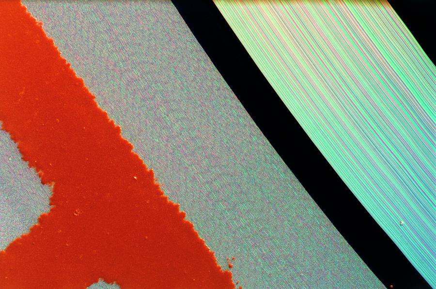 Lm Of Compact Disc Photograph by Dr Jeremy Burgess/science Photo Library.