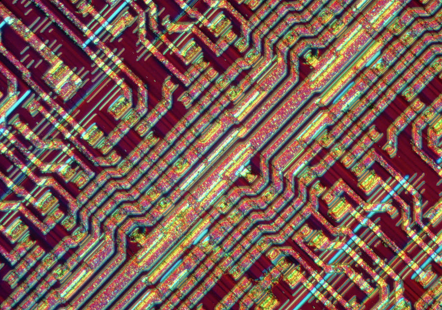 Light Micrograph Photograph - Lm Of Surface Of An Integrated Circuit by Alfred Pasieka/science Photo Library