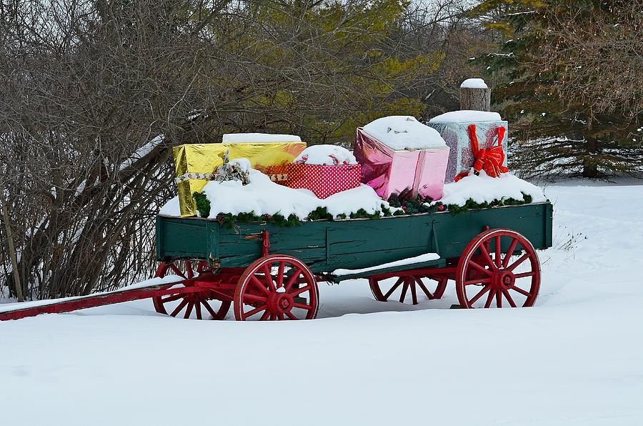 Loaded wagon Photograph by Dave Zuker - Fine Art America