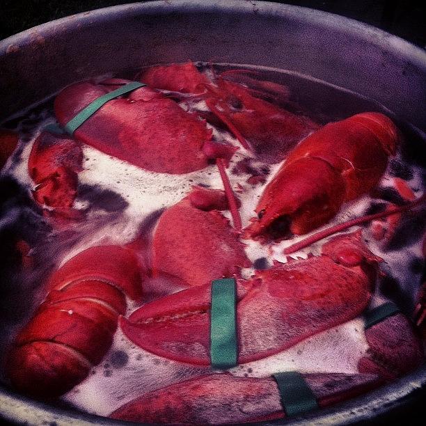 Lobsta Boil! Photograph by Diego De Leon
