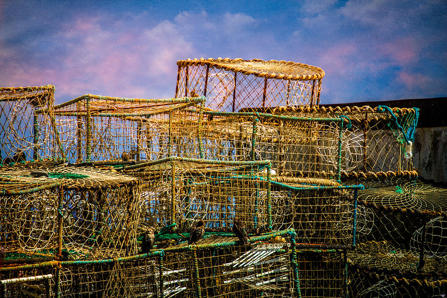Lobster Baskets and Starlings Photograph by Chris Lord