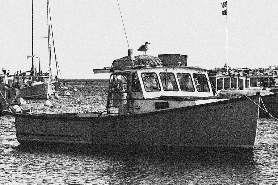Lobster Boat Photograph by Fred Larson
