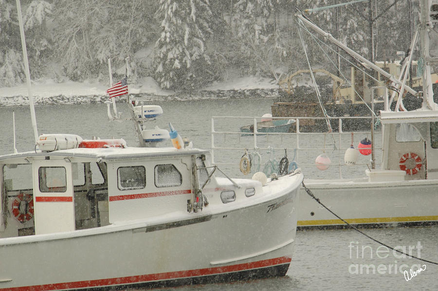Snowy Lobster Boats Photograph by Alana Ranney