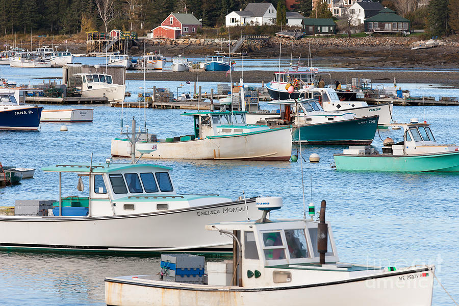 Lobster Boats in Bass Harbor I Photograph by Clarence Holmes